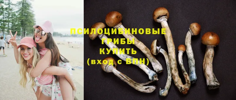 Галлюциногенные грибы Psilocybine cubensis  МЕГА рабочий сайт  Остров 